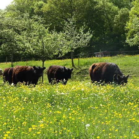 호텔 Beim Rinderwirt 3*