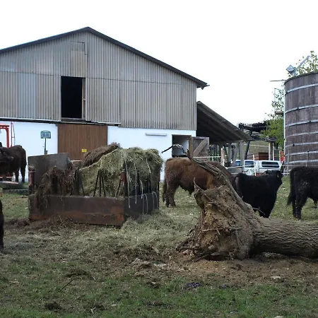 호텔 Beim Rinderwirt 3*