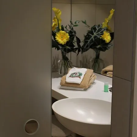 酒店 贝姆瑞德维特酒店