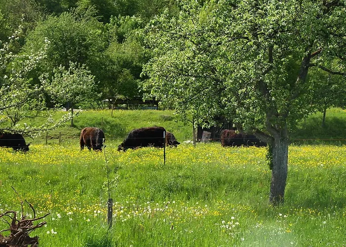 Hotel Beim Rinderwirt