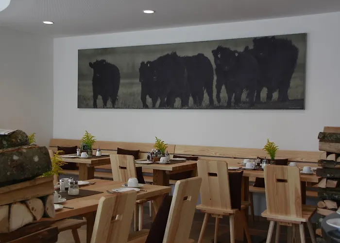 酒店 贝姆瑞德维特酒店 3*